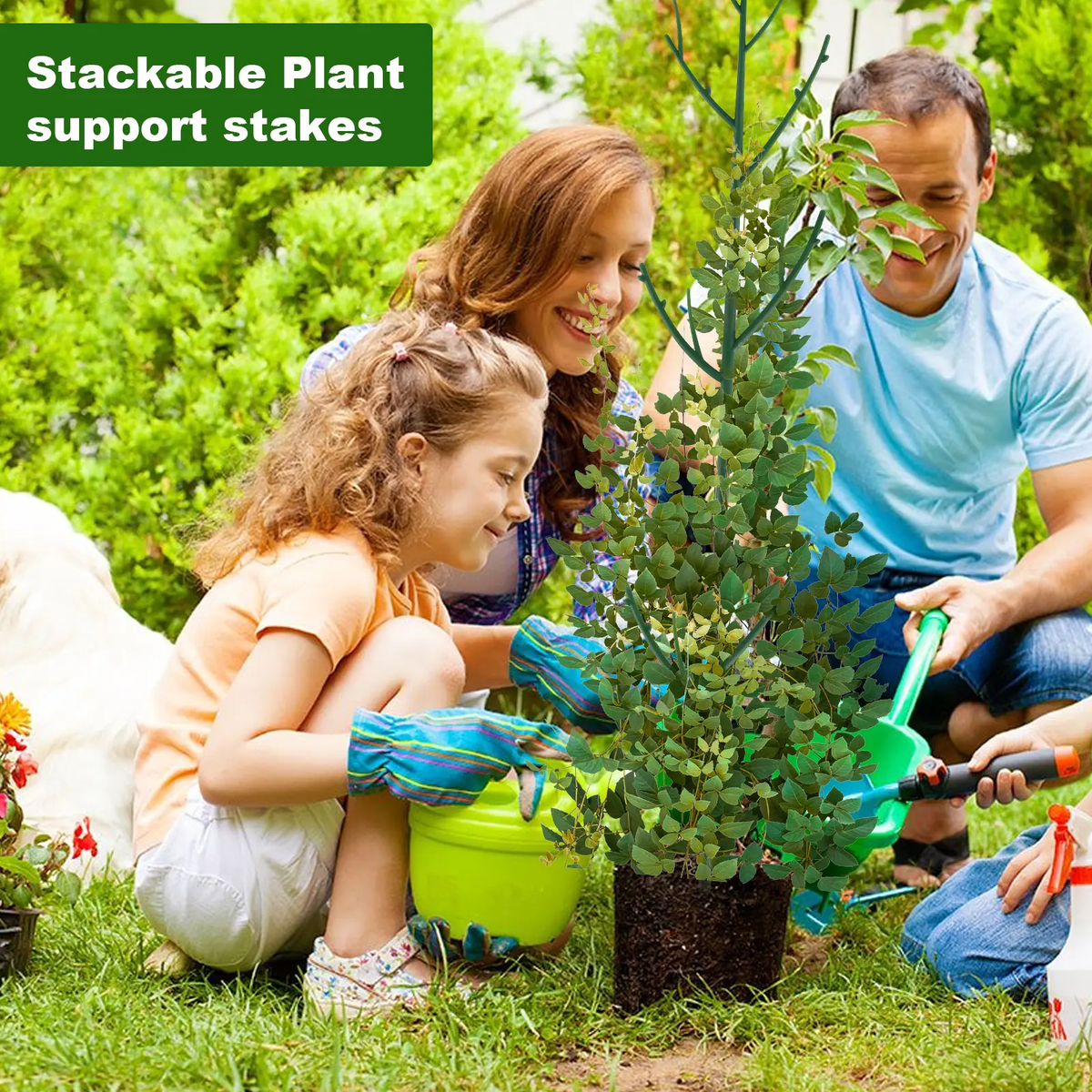 6 Pack Stackable Monstera Plant Support