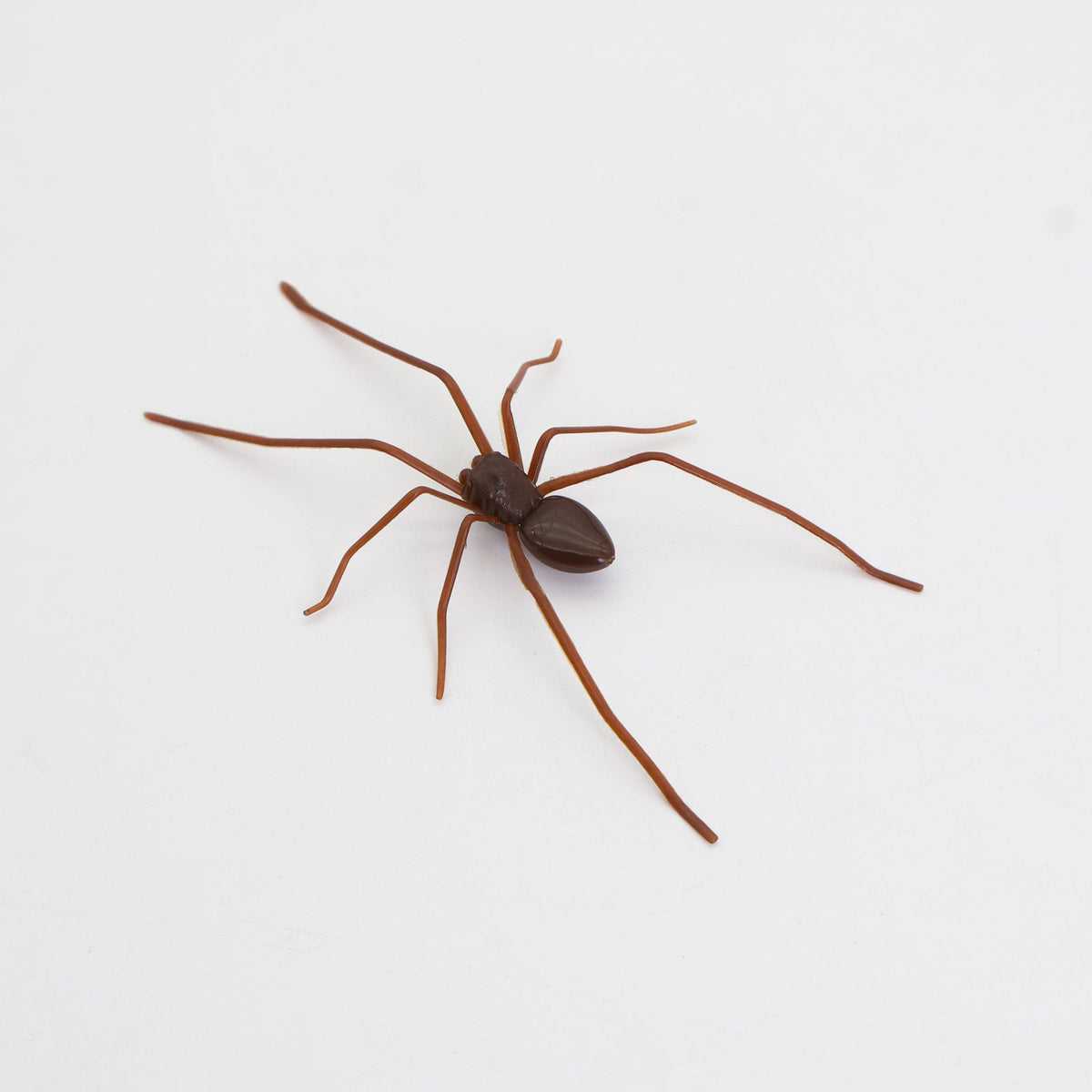 Spider Fridge MagnetRealistic Spider Magnets, for Refrigerator, Garage Door, or Car