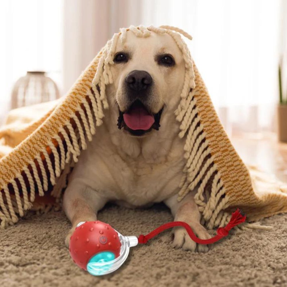 ChewRoll • Rolling Ball Toy