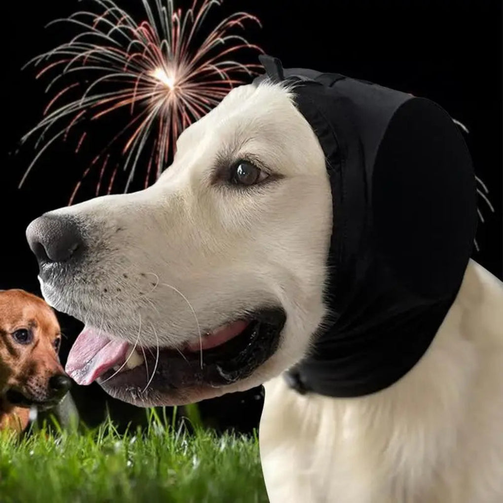 Davy | Dog Ear Cover for Noise Reduction & Calming