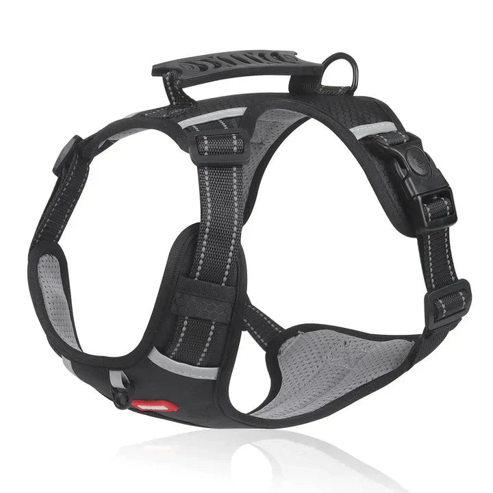 Davy | Dog No-Pull Harness with Padded Comfort and Reflective Accents