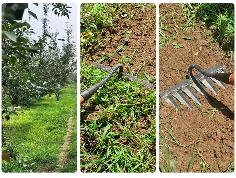 Davy | Sharp Tined Garden Rake for Efficient Weeding