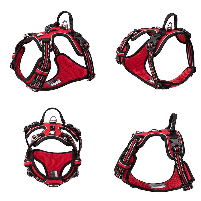 Secure Reflective Dog Vest | Adjustable Fit for Walks & Runs