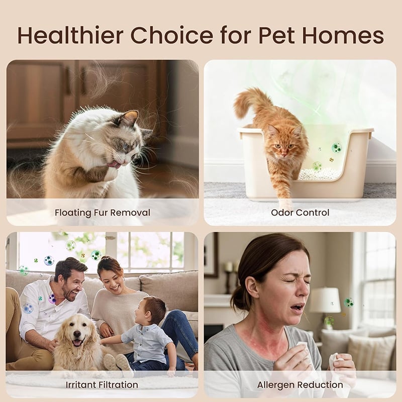 Home Pet Fur & Odor Removal Magic Box
