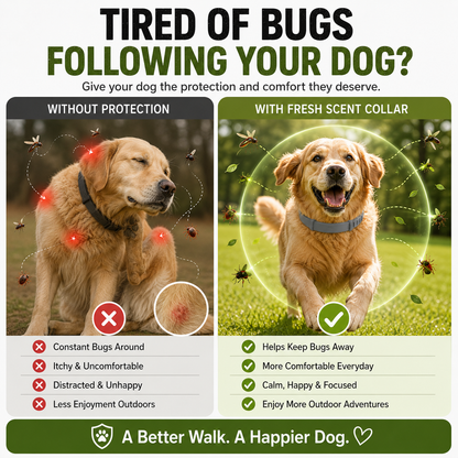 Best Flea & Tick Collar for Pets