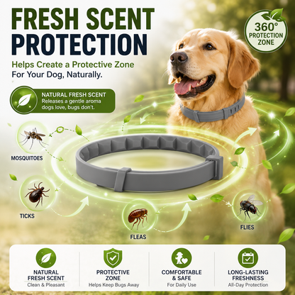 Best Flea & Tick Collar for Pets