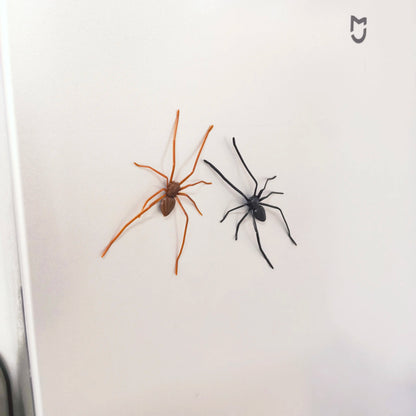 Spider Fridge MagnetRealistic Spider Magnets, for Refrigerator, Garage Door, or Car