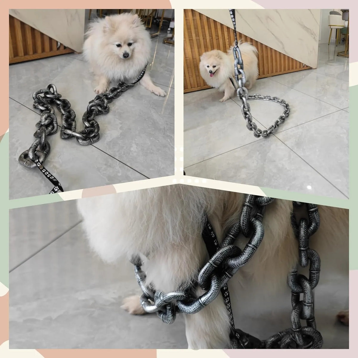 The Chain Paws - 2026 Funniest Pet Chain