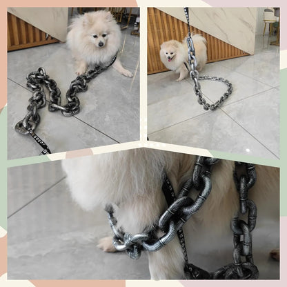The Chain Paws - 2026 Funniest Pet Chain