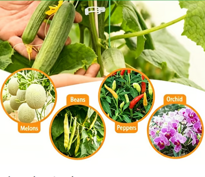Plant Support Clips – Easy Vine Training & Secure Plant Growth