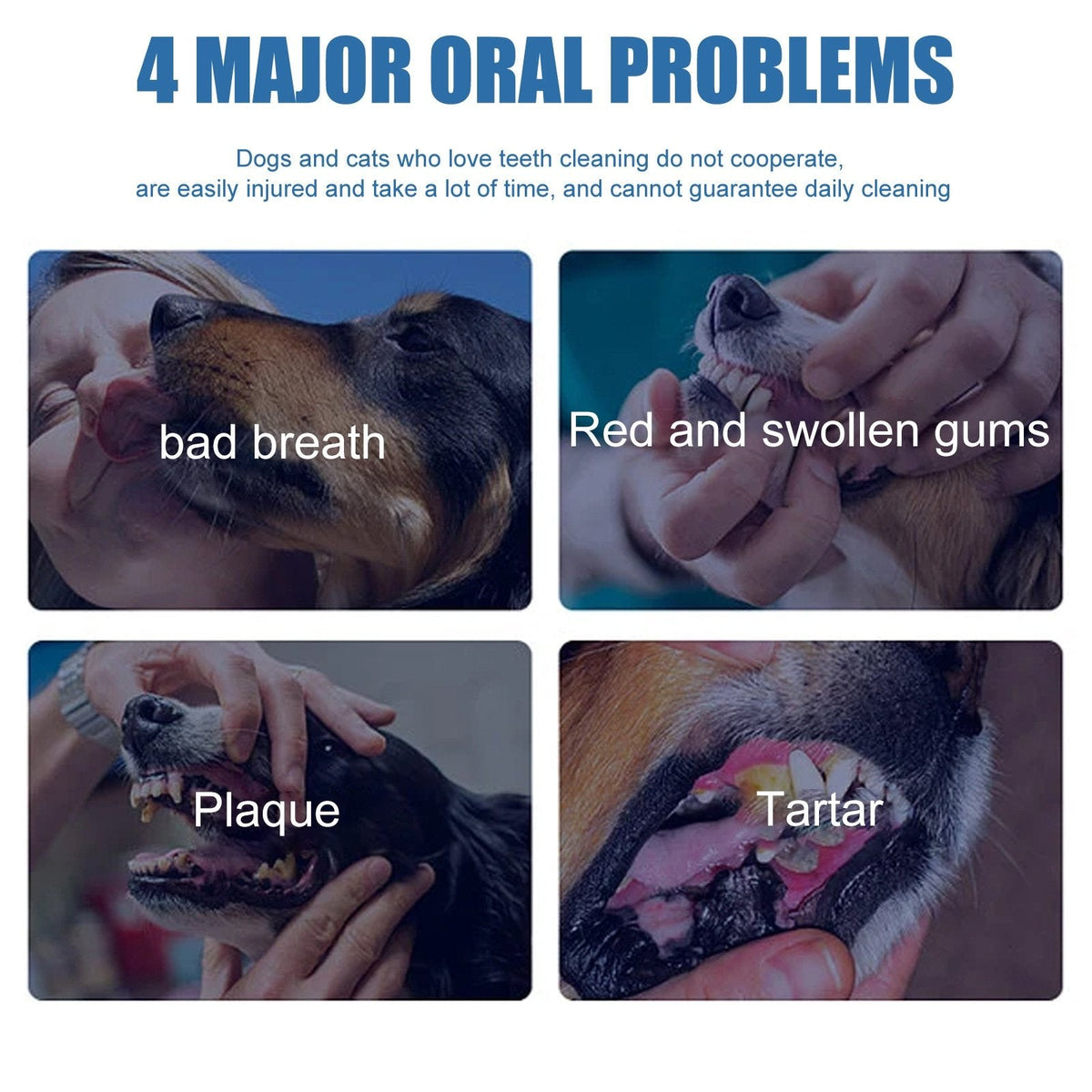 Pet Oral Care Foam – Removes Odors & Promotes Healthy Teeth and Gums