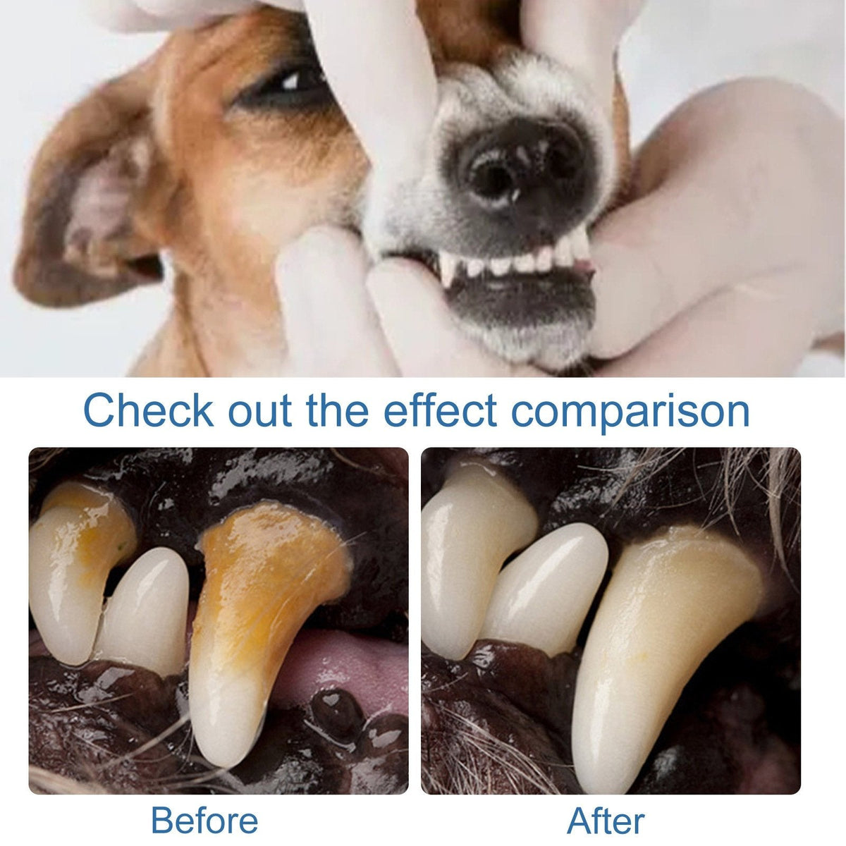 Pet Oral Care Foam – Removes Odors & Promotes Healthy Teeth and Gums