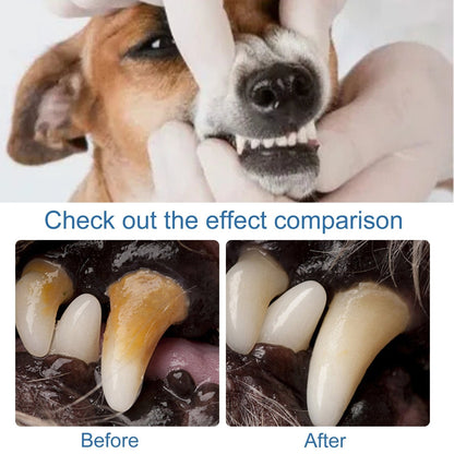 Pet Oral Care Foam – Removes Odors & Promotes Healthy Teeth and Gums