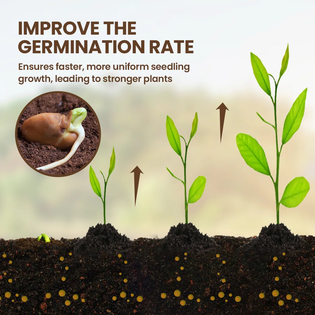 The Ultimate Soil Conditioner—Revitalize Your Garden Soil