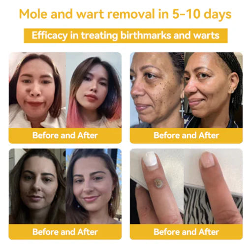 Doctia™ Bee Cream