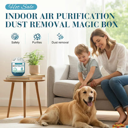 2026 New Collection – Limited-Time Offer Indoor Air Purification Dust Removal Magic Box