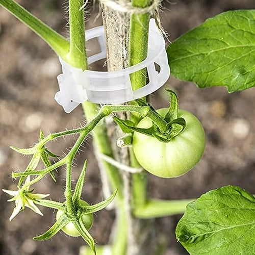 Plant Support Clips – Easy Vine Training & Secure Plant Growth