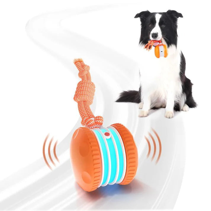 Pet Toy Wheels With Rope – Keep Your Pet Relaxed, Happy & Content for Cat & Dog