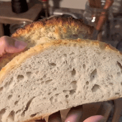 Best-Selling Bread Baking Starter Kit — Everything You Need to Begin