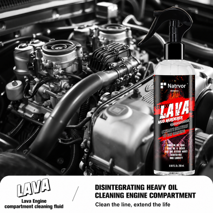 Engine Cleaner Spray | Clean, Degrease & Protect