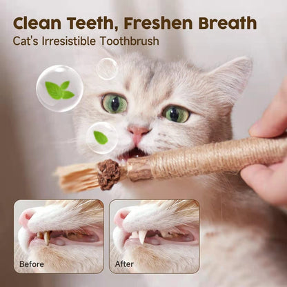 Natural Silvervine Cat Toy – Play, Relax & Dental Cleaning