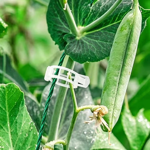 Plant Support Clips – Easy Vine Training & Secure Plant Growth