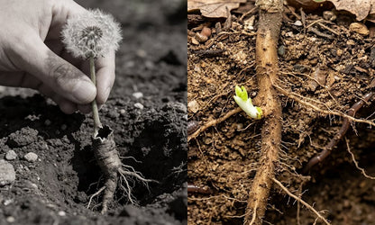 Deep-Grip Weed Puller – Fast Root Removal & Soil Cultivation