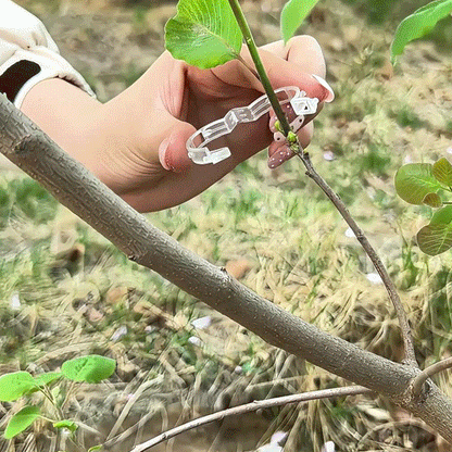Plant Support Clips – Easy Vine Training & Secure Plant Growth
