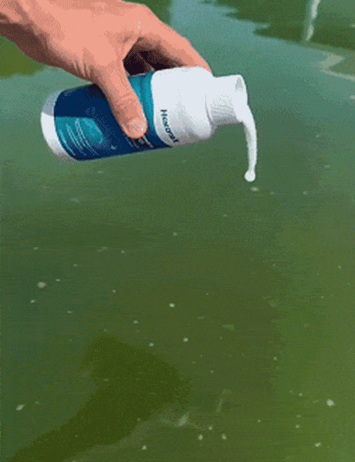 Pool Clarifier Liquid – Fast Dissolve, Crystal Clear & Odor-Free Water