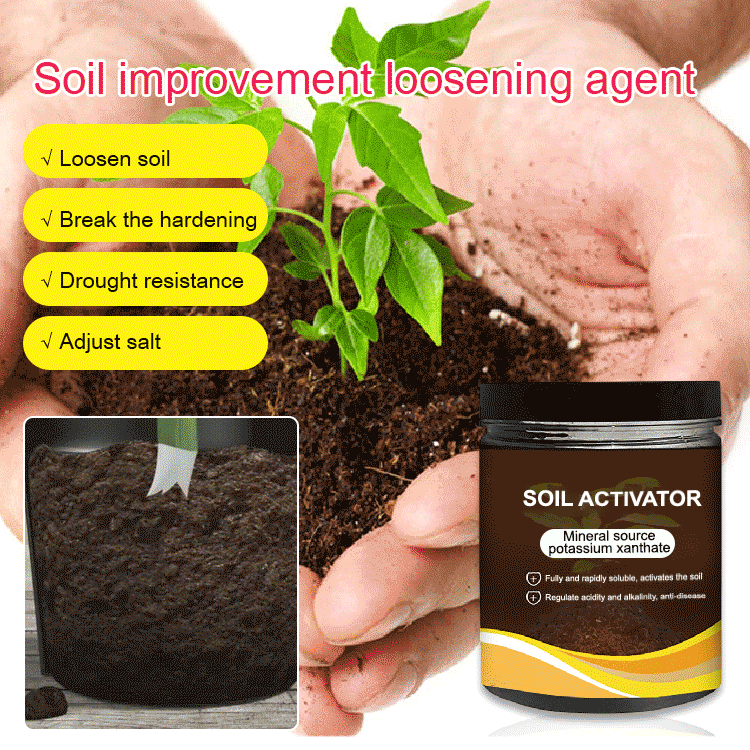 The Ultimate Soil Conditioner—Revitalize Your Garden Soil