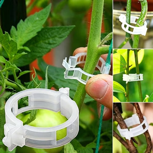 Plant Support Clips – Easy Vine Training & Secure Plant Growth