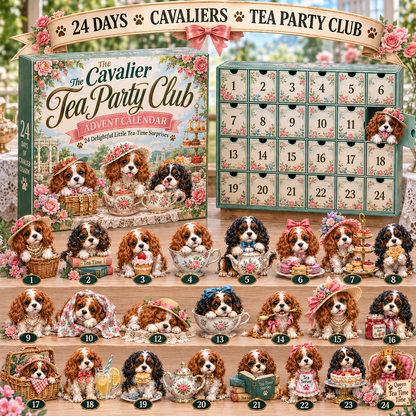 Cavalier Adventures 24-Day Advent Calendar – 6 Themed Collections