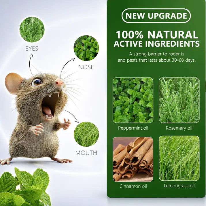 Peppermint Oil Rat Repellent Balls for Home