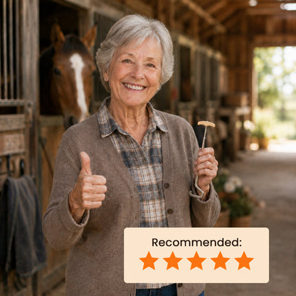 Horse-Shaped Shoe Horn Hook for Easy Wear