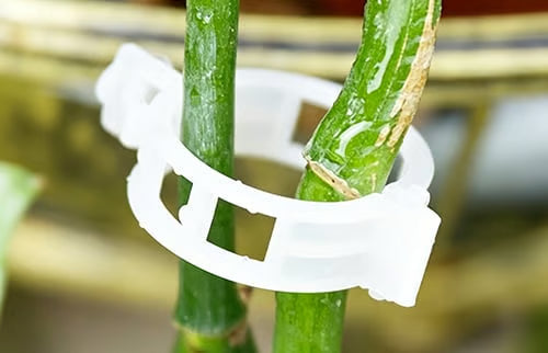 Plant Support Clips – Easy Vine Training & Secure Plant Growth