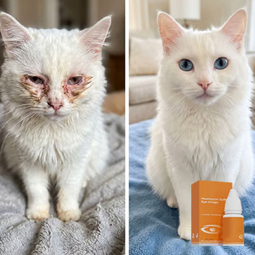 Pet Antibacterial Eye Drops – Gentle Eye Care & Tear Stain Cleaner for Cats & Dogs