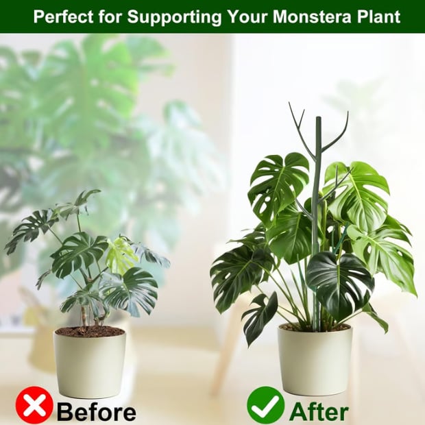 5 pack Stackable, Rot-Proof Plant Support