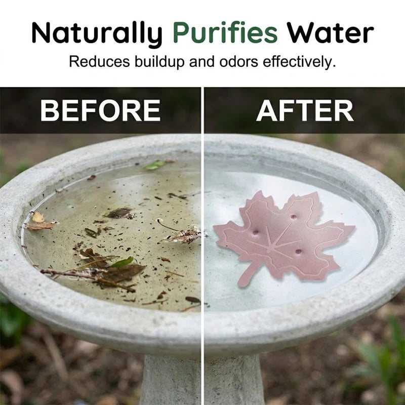 Buy 1 Get 1 FreeTime-Limited SpecialUniversal Fit Bird Bath Purifier