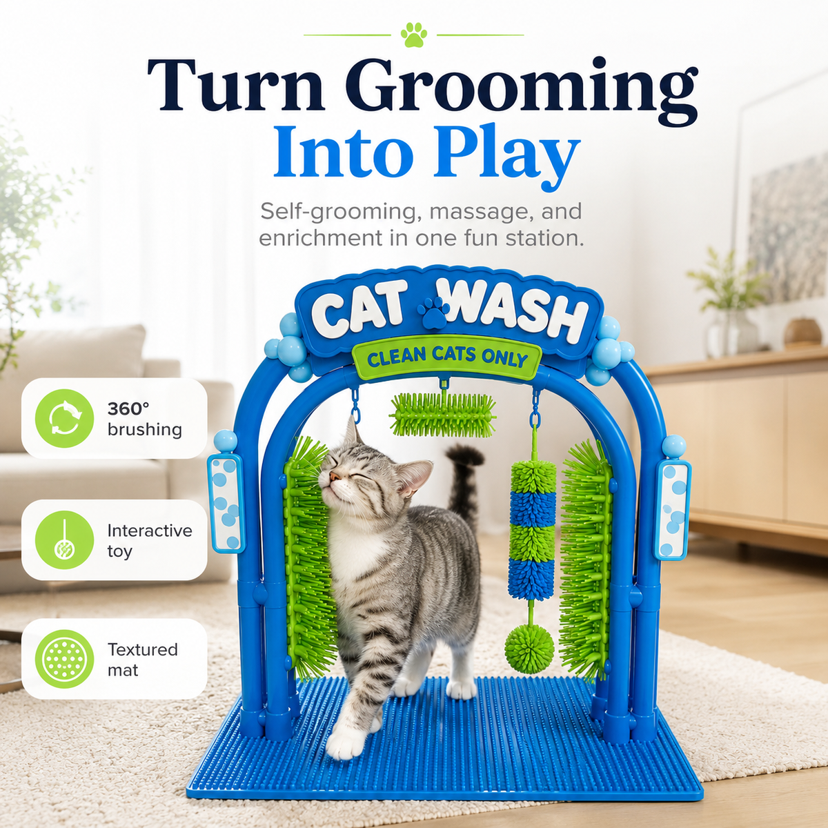 The Cat Wash