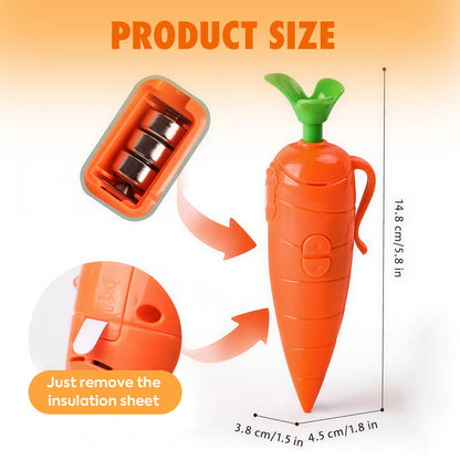 Carrot That Talks: 60-Second Voice-Recording Magic Pen