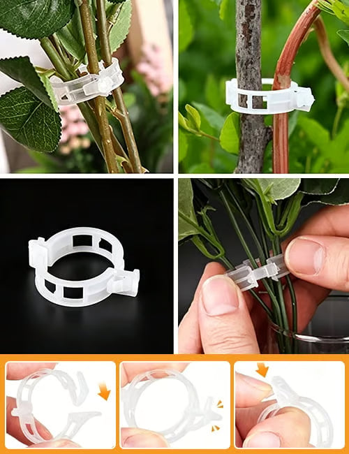Plant Support Clips – Easy Vine Training & Secure Plant Growth