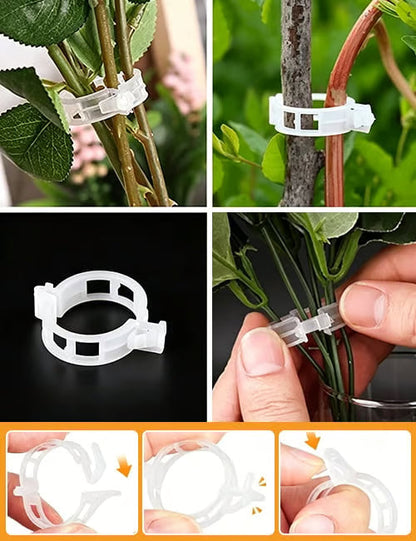Plant Support Clips – Easy Vine Training & Secure Plant Growth