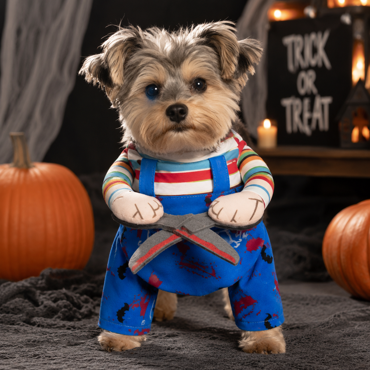 Funny Dog Costume