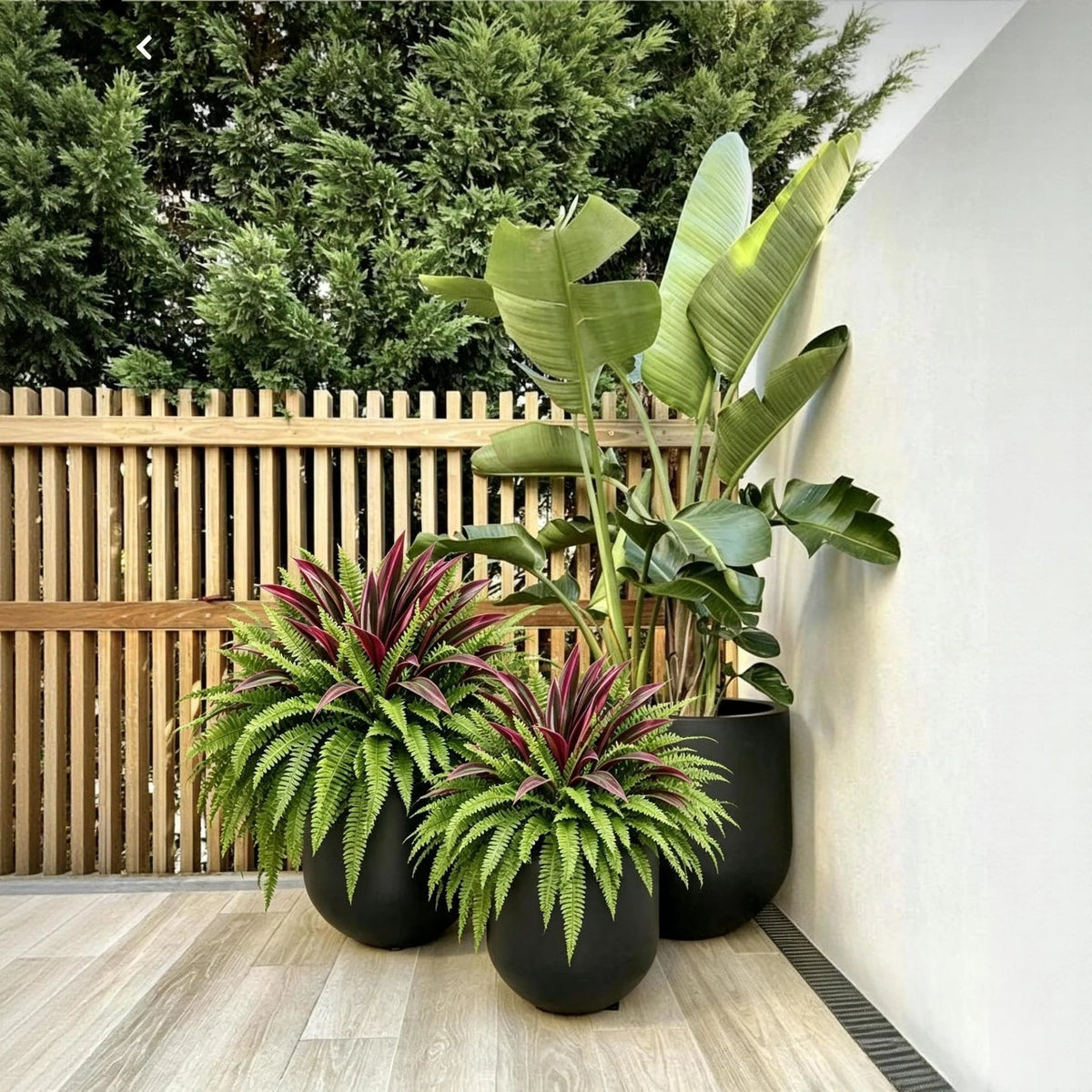 Summer Special UV-Resistant Artificial Fern & Red Dracaena Decorative Plants – Full, Lush & Fade-Resistant!