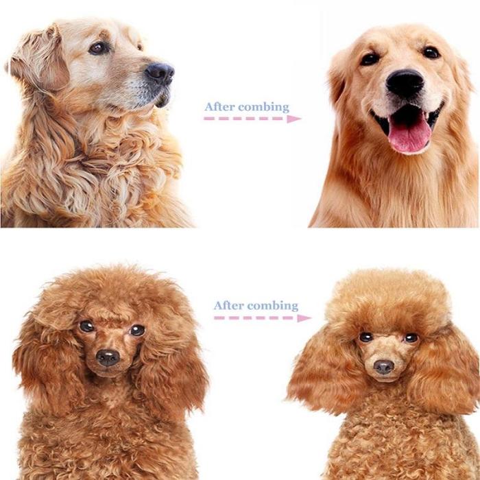 Double-Sided Pet Grooming Brush – Dog & Cat Hair Remover & Styling Comb