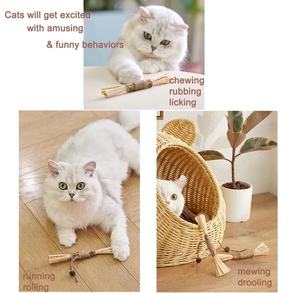 Natural Silvervine Cat Toy – Play, Relax & Dental Cleaning
