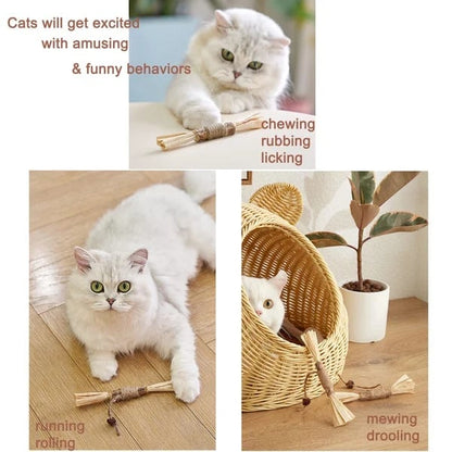 Natural Silvervine Cat Toy – Play, Relax & Dental Cleaning