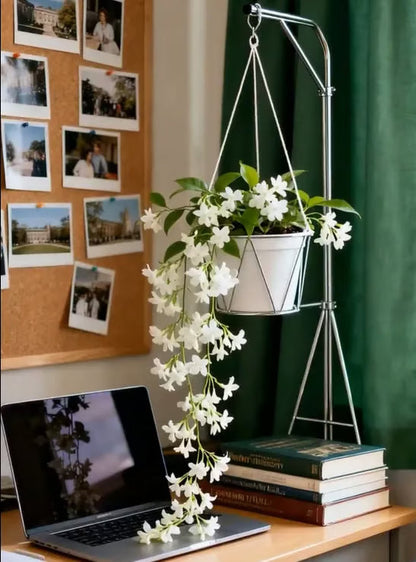 49% OFF Dreamy Indoor Jasmine Hanging Basket