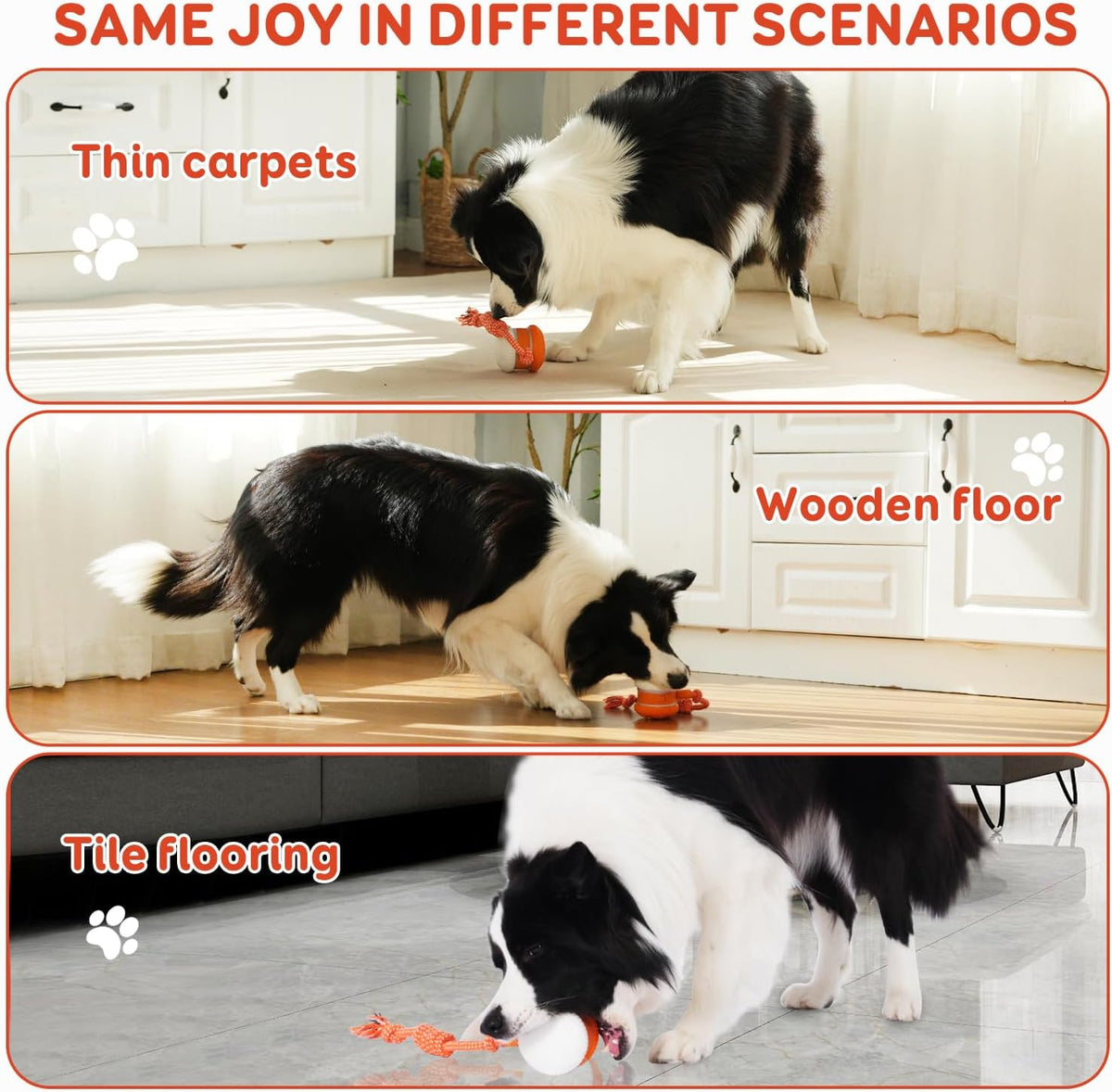 Pet Toy Wheels With Rope – Keep Your Pet Relaxed, Happy & Content for Cat & Dog