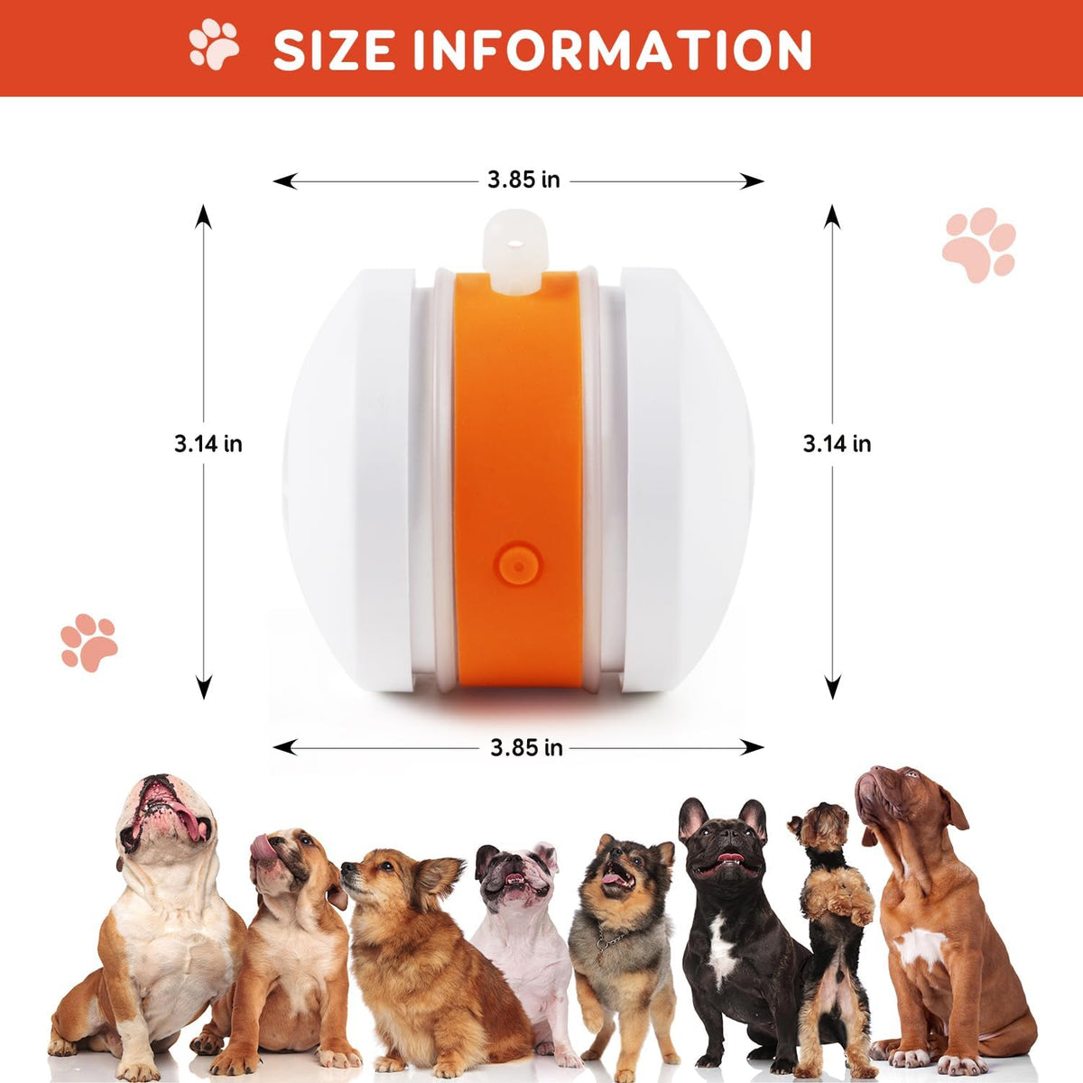 Pet Toy Wheels With Rope – Keep Your Pet Relaxed, Happy & Content for Cat & Dog